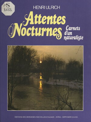 cover image of Attentes nocturnes